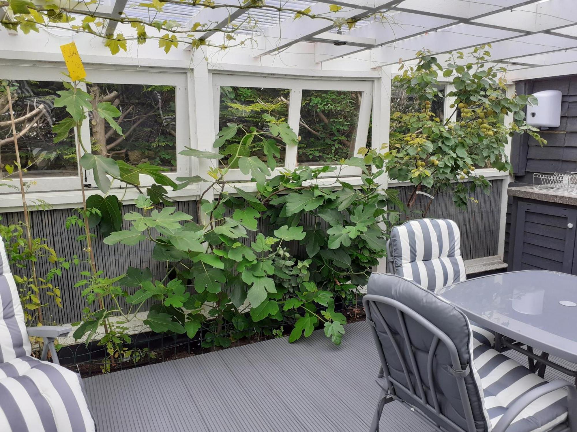 The Treehouse By Airlie Apartment Nairn Luaran gambar
